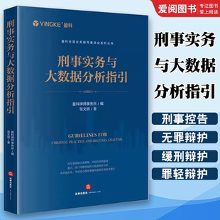 正版刑事实务与大数据分析指引 张文明 法律出版社 刑事控告 刑事辩护 刑民交叉案件 刑事案件实务 教程书籍