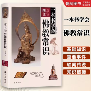 正版一本书学会佛教常识 中华书局出版社 张培锋著 佛教基本知识 佛学入门 佛教基础知识 了解佛教文化入门教材教程书籍