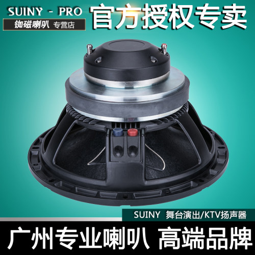高端层次分明钕磁普通同轴喇叭