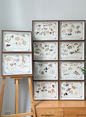 中药房中医学药品创意装饰品方剂标本DIY材料包展示中草药挂画