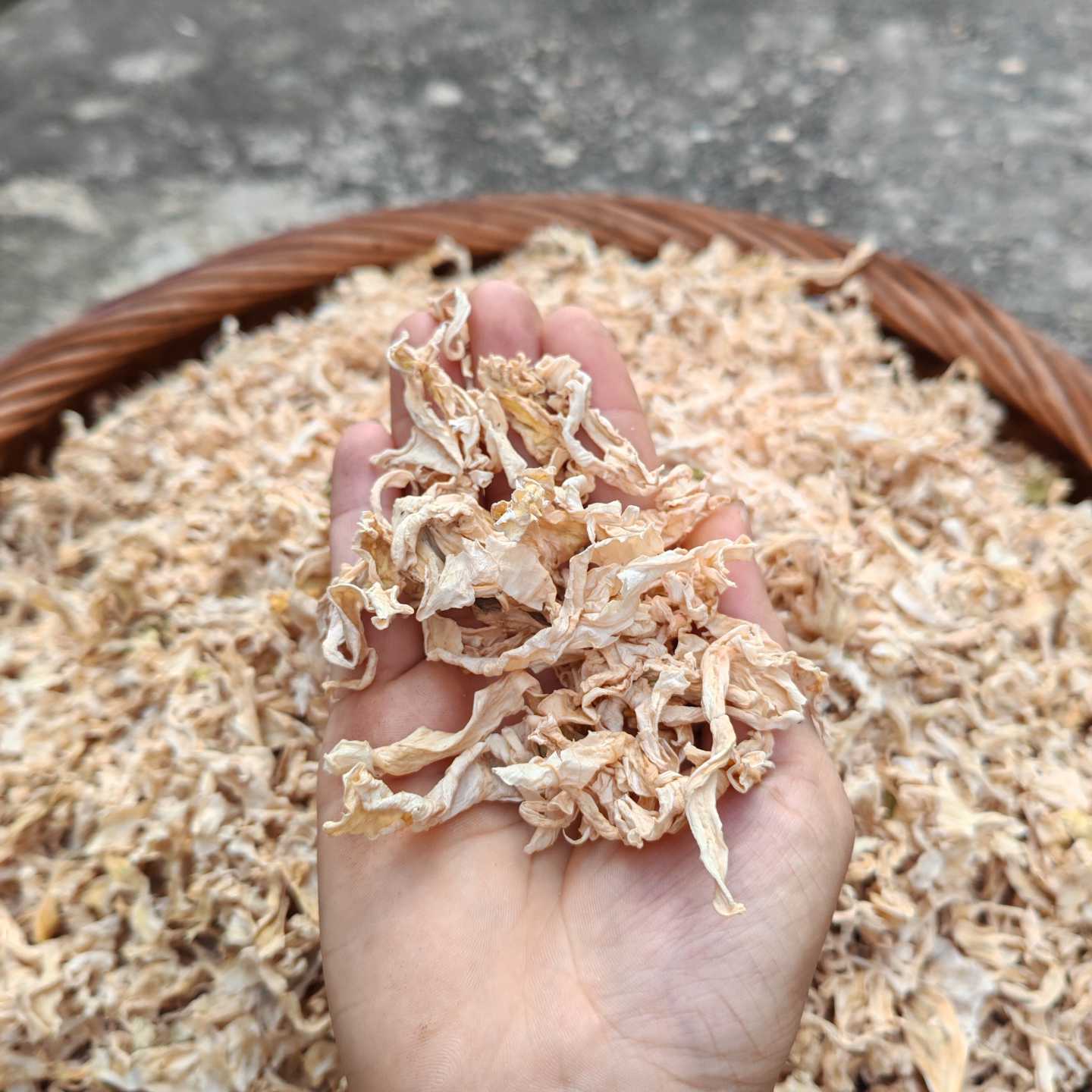 福建农家包菜干日晒淡干闽南特产高丽菜白菜卷心菜梅菜干货 500克