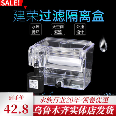 建荣BB10带水泵壁挂藻缸海水小鱼繁殖盒亚克力隔离盒孵化盒孔雀鱼