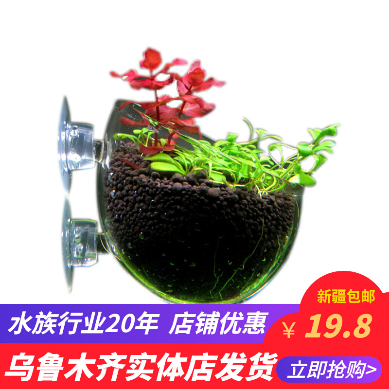 鱼缸水族箱饲育造景盆缸内型养草杯种植杯玻璃水草造景盆新疆包邮