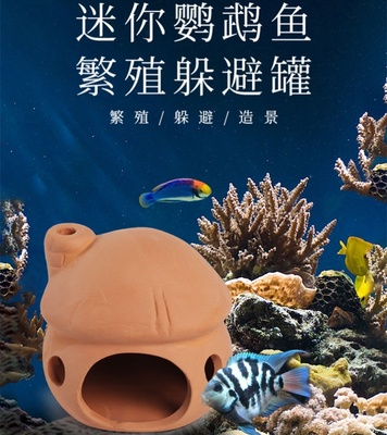 迷你慈鲷繁殖躲避罐包邮鱼缸造景