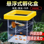 亚克力悬浮孵化隔离盒孔雀鱼小鱼鱼苗鱼缸繁殖盒母鱼育苗新疆 包邮