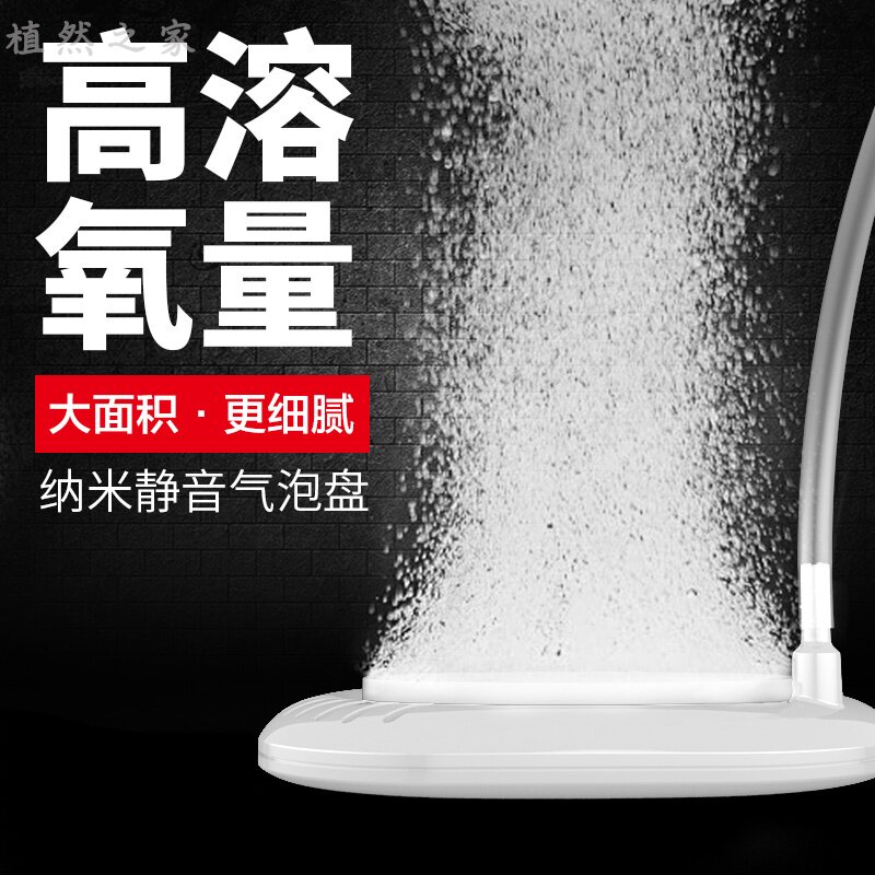 新疆包邮纳米沙盘静音氧气盘鱼缸气盘雾化头气泡石打氧细化器沙头