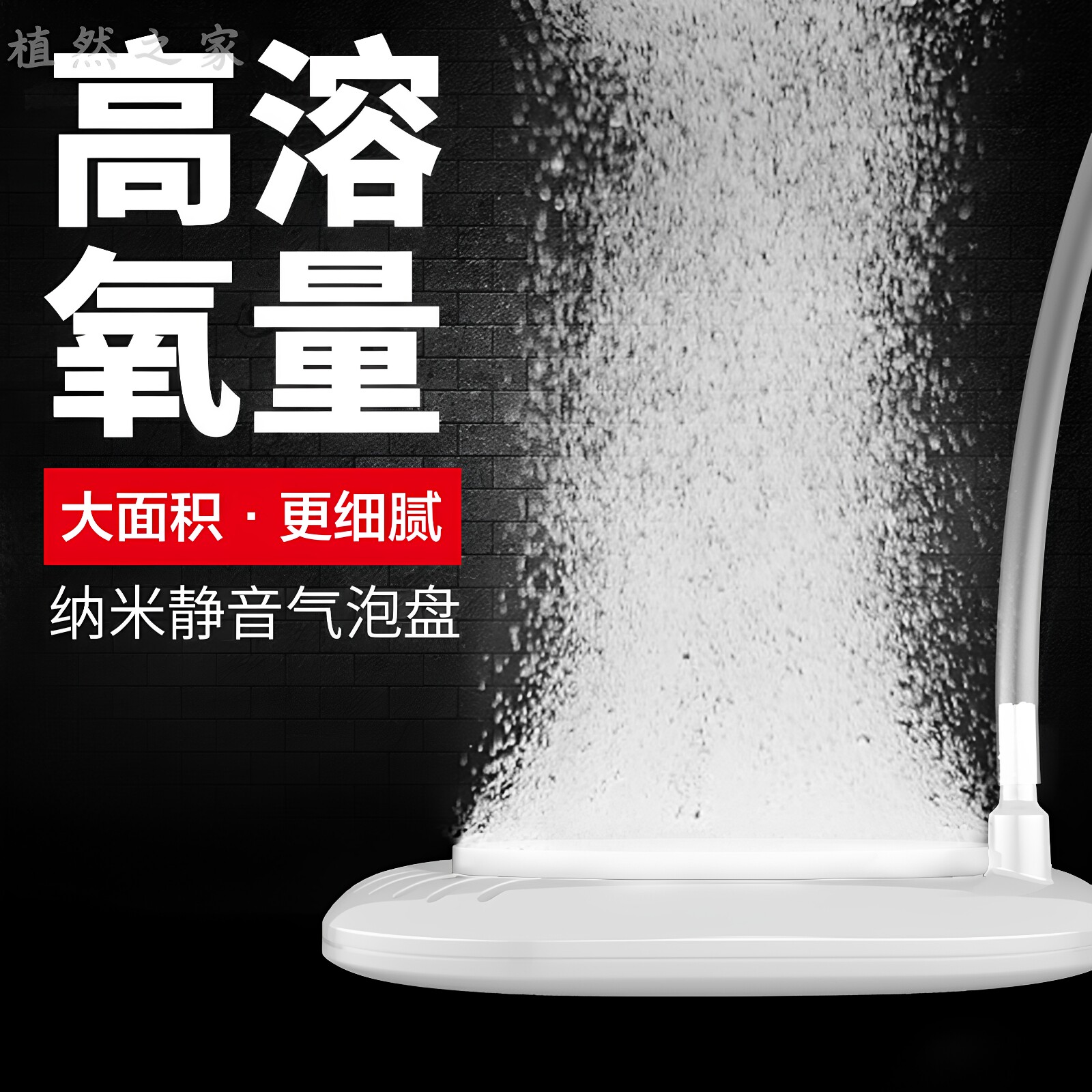 新疆包邮纳米沙盘静音氧气盘鱼缸气盘雾化头气泡石打氧细化器沙头