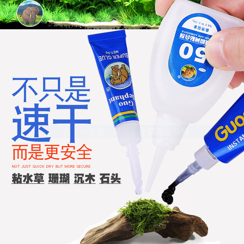 国象水草胶莫斯沉木杜鹃骨架