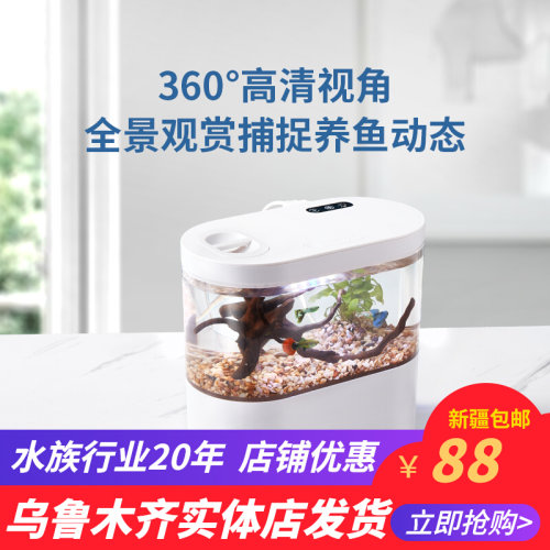 压克力小型迷你鱼缸办公s电脑桌面造景底滤微景观斗鱼缸水族箱微
