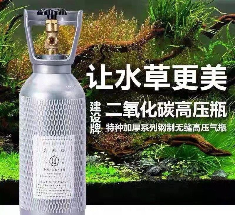 二氧化碳钢瓶套装山东建设草缸图片