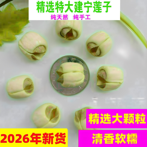 26年头采新莲高品质建宁莲子