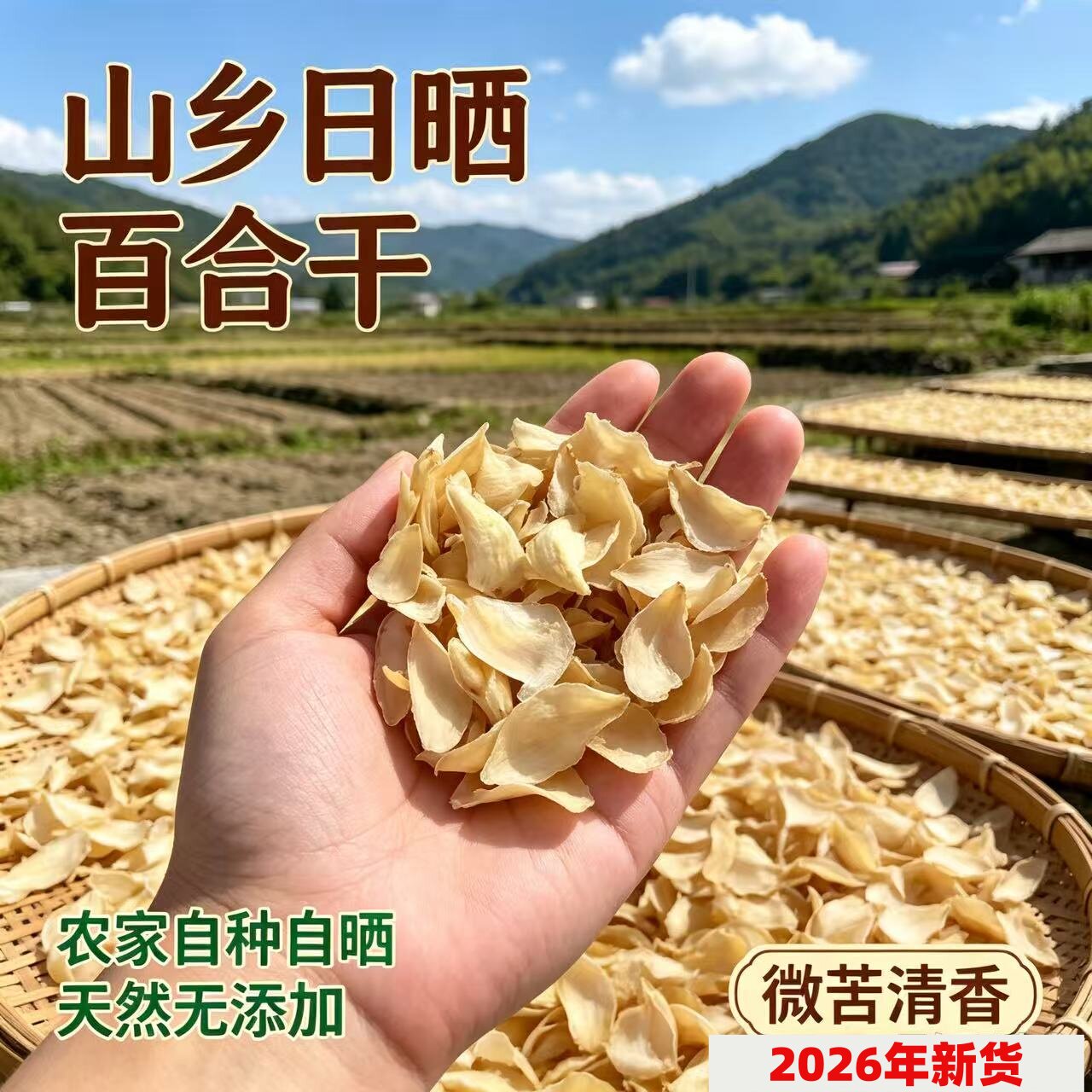 26年新货特级天然食用百合干片