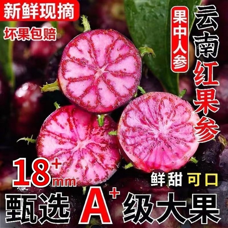 云南红果参当季蜘蛛果新鲜水果稀罕见现摘算盘果整颗可食用蓝莓果,水产肉类/新鲜蔬果/熟食,其它,淘宝优惠券,粉丝福利购,淘宝优惠卷