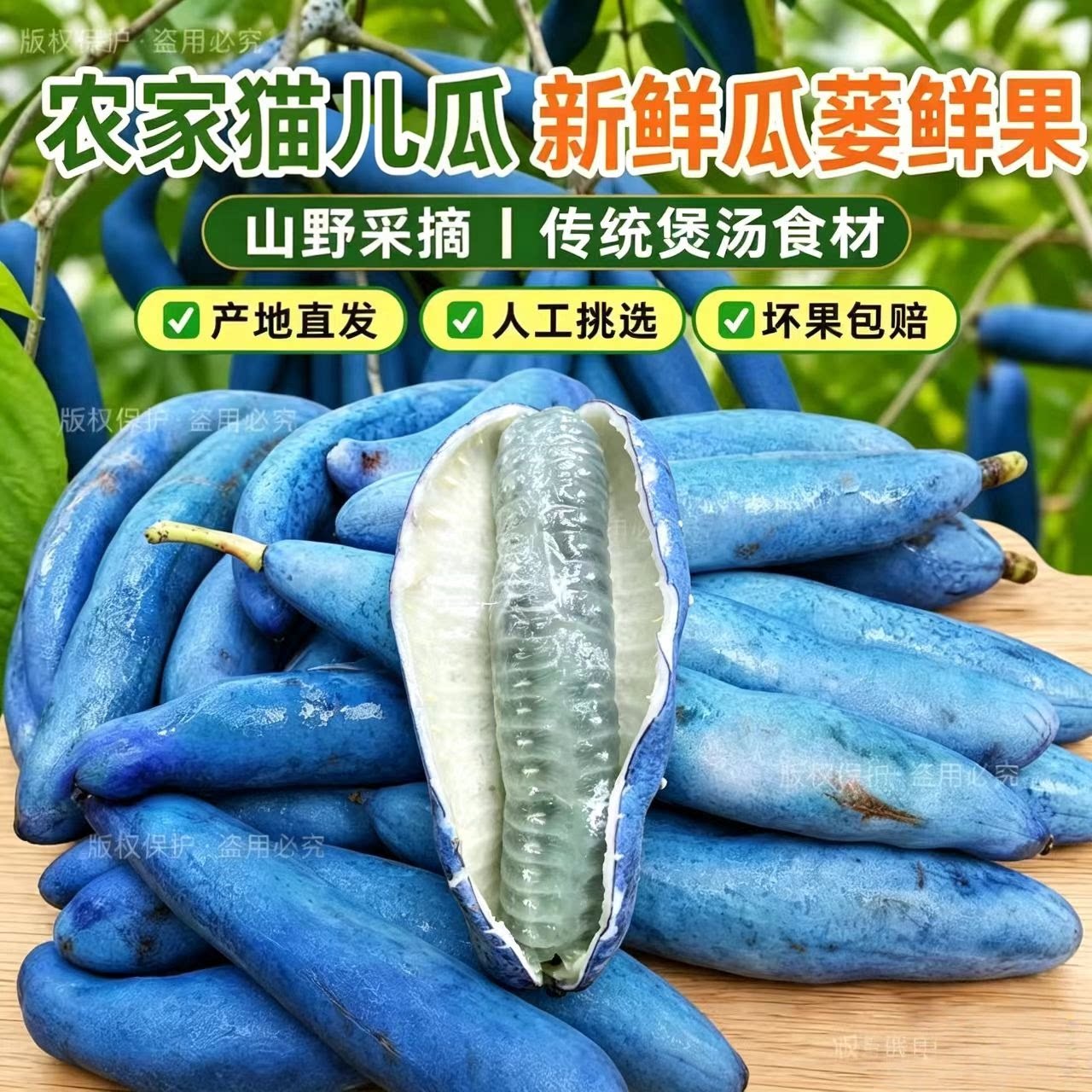 甜果水果 猫儿瓜 猫儿屎 猫屎其它