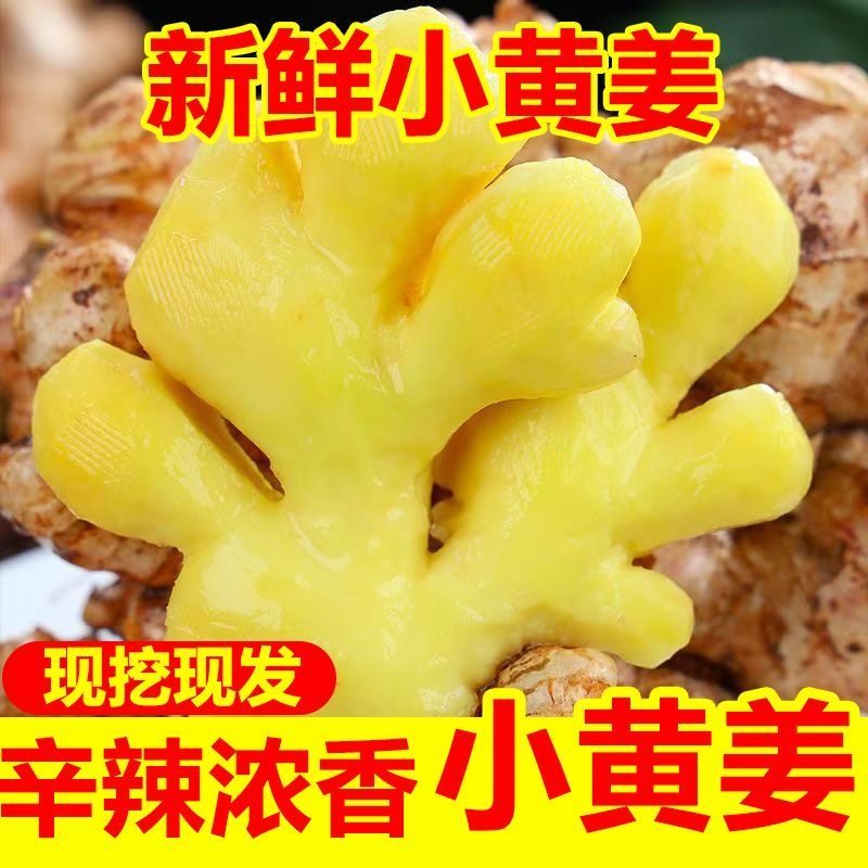 正宗云南小黄姜9斤新鲜现发生姜老姜批发沙姜蔬菜嫩姜仔当季整箱3