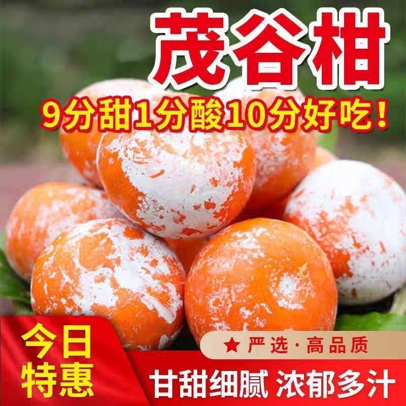 正宗广西茂谷柑新鲜沃柑当季水果薄皮脏脏柑橘石灰柑橘子整箱包邮,水产肉类/新鲜蔬果/熟食,桔子,淘宝优惠券,粉丝福利购,淘宝优惠卷