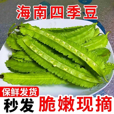 海南新鲜四角豆三亚特产现摘时令蔬菜四棱豆龙豆豆角新鲜到家蔬菜