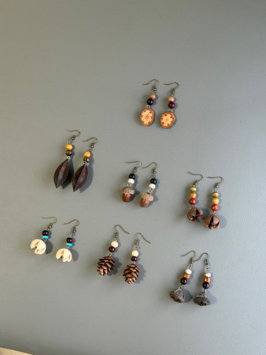 云南大理天然植物耳环复古风果实耳坠中药手工耳饰民族风配饰