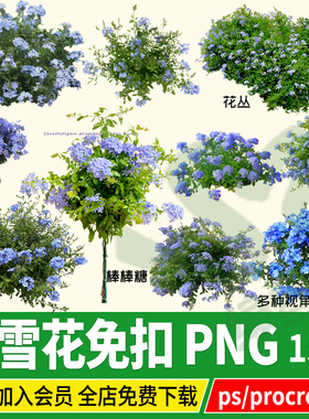png蓝雪花棒棒糖夏季开花蓝色花卉PSD免扣PS素材procreate资料库