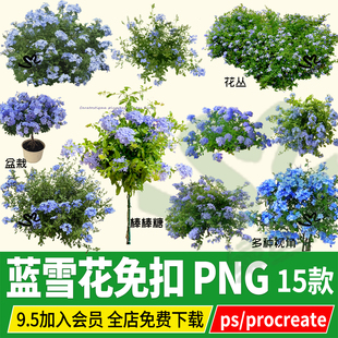 png蓝雪花棒棒糖夏季开花蓝色花卉PSD免扣PS素材procreate资料库
