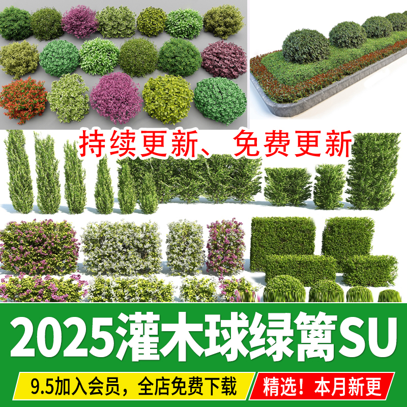 灌木球方形球形植物绿植花坛绿篱隔离绿化带灌木丛草图大师SU模型