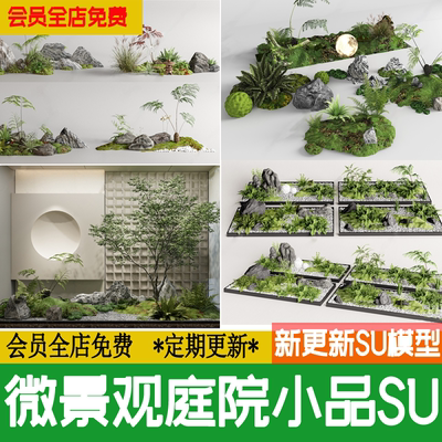 日式禅意微景观石头植物微地形枯山水园林庭院小品草图大师su模型