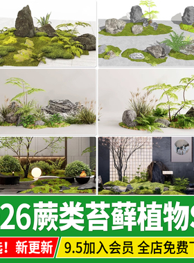 蕨类植物苔藓耐阴耐荫庭院日式园林景观小品石头堆草图大师SU模型