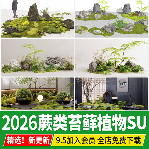 蕨类植物苔藓耐阴耐荫庭院日式园林景观小品石头堆草图大师SU模型