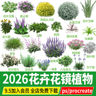 花坛花境花卉花镜植物地被ps素材png效果图procreate园林景观psd