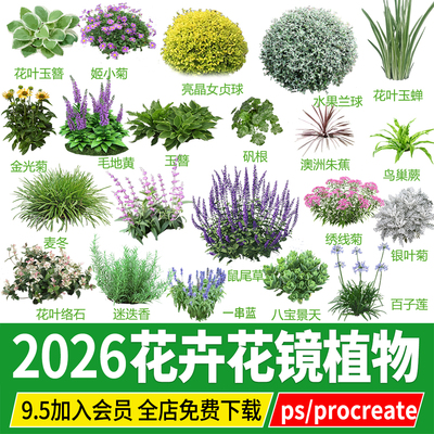 花坛花境花卉花镜植物地被ps素材png效果图procreate园林景观psd