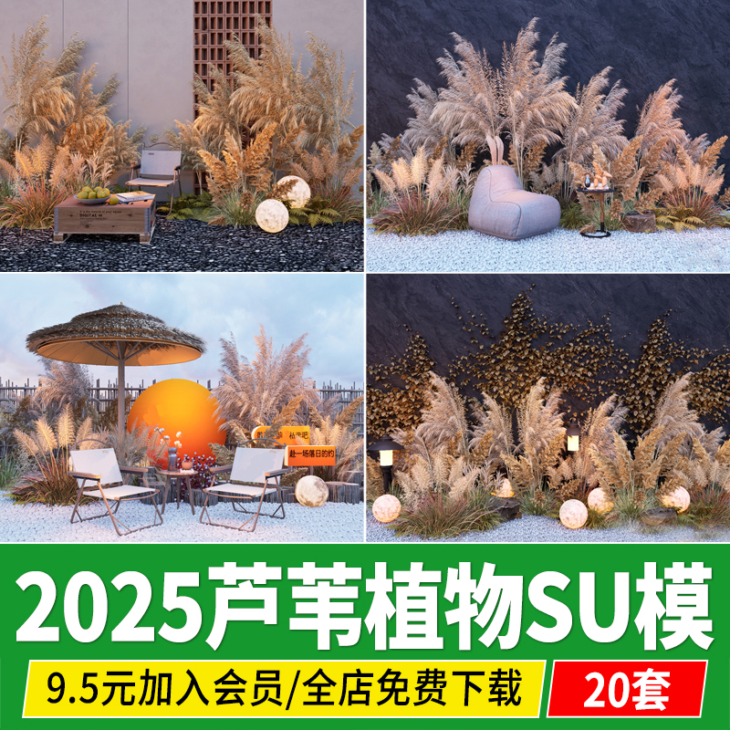 芦苇植物组合狼尾草麦穗露营美陈造景小品干草枯草草图大师SU模型