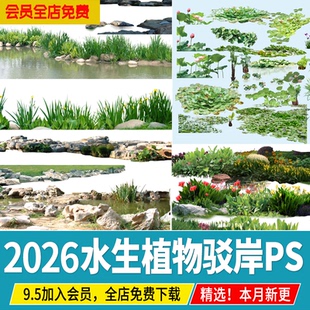 水生植物湿地滨水公园效果图荷花睡莲菖蒲驳岸芦苇ps免扣psd素材