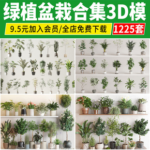 绿植室内盆栽3d模型植物摆件花园现代北欧店面花卉盆景花盆3DMAX