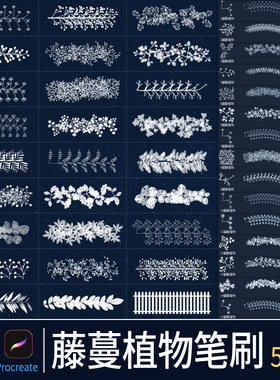 藤蔓植物procreate画笔绿草爬藤攀援蕨类叶子自然插画绘画ps笔刷