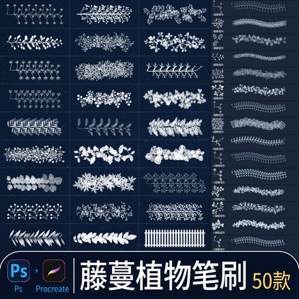 藤蔓植物procreate画笔绿草爬藤攀援蕨类叶子自然插画绘画ps笔刷