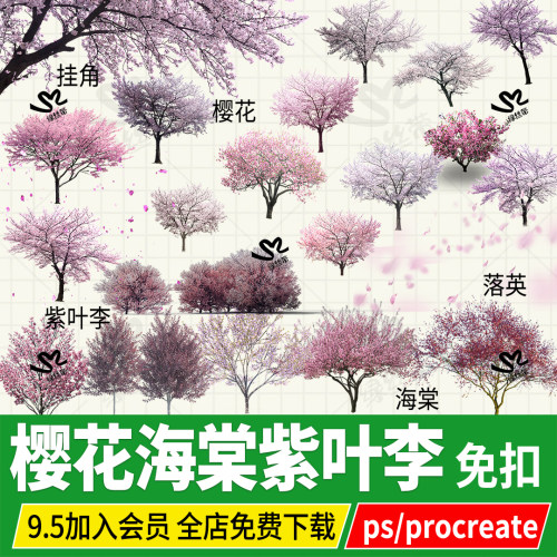 樱花png海棠红紫叶李日本晚樱开花植物小乔木psd素材ps procreate