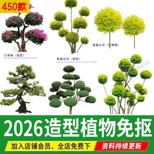 PS景观造型植物灌木球造型树迎客罗汉松桩景效果图png棒棒糖素材