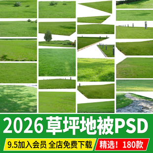 PS高清草坪草地草丛花境绿化地被贴图PSD免抠公园景观效果图素材