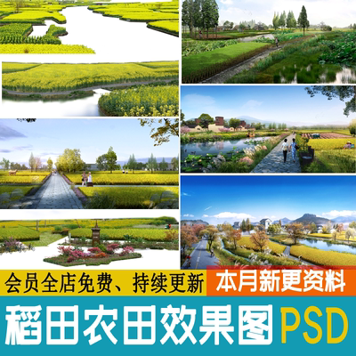 美丽乡村田园荷塘稻田农田花田菜地农村景观psd效果图后期ps素材