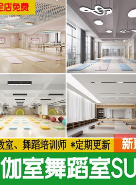 舞蹈室瑜伽室现代学校音体网红形体健身房培训教室草图大师su模型