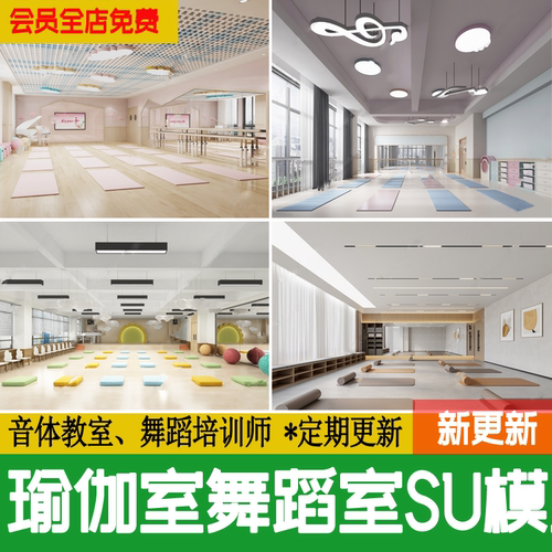 舞蹈室瑜伽室现代学校音体网红形体健身房培训教室草图大师su模型