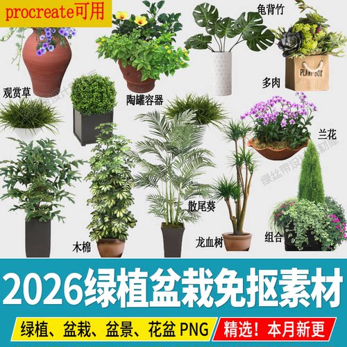 procreate绿植盆栽盆景ps素材花盆高清室内景观植物设计免抠图png