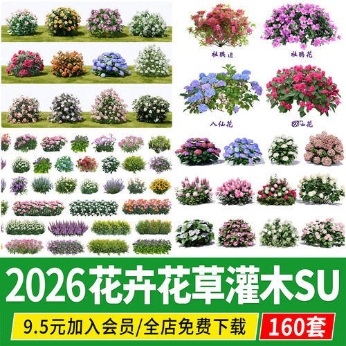 园林景观2d二维草花卉花境灌木地被植物草图大师su模型设计素材