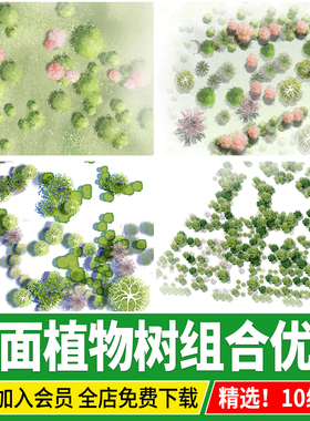 2026ps彩平图素材小清新景观公园平面组团彩平植物组合平面树psd