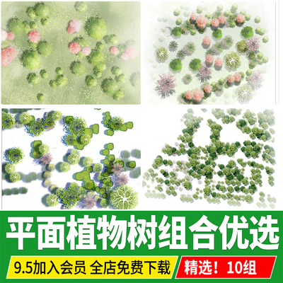 2026ps彩平图素材小清新景观公园平面组团彩平植物组合平面树psd