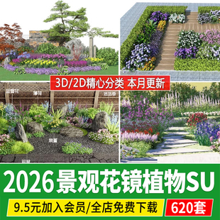 园林景观花镜花境植物配置公园庭院地被花草花卉丛组团搭配su模型