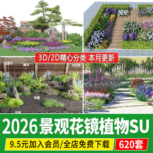 园林景观花镜花境植物配置公园庭院地被花草花卉丛组团搭配su模型