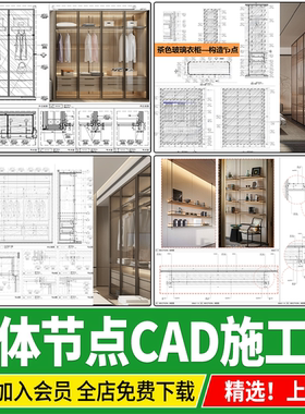 柜体柜子节点玻璃衣柜构造灯带层板剖面做法大样图详图CAD施工图