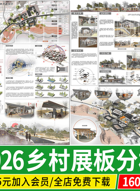 美丽乡村振兴村落改造前期分析图城乡规划设计景观ps素材psd展板