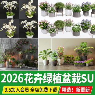 花卉绿植盆栽花草植物室内阳台花盆庭院花园门口草图大师su模型